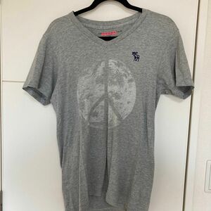 Tシャツ 半袖 グレー 乱痴気セントリューム Abercrombie&Fitch