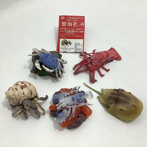 エポック社　地球生命紀行　「蟹・海老。」改　5種　オオヤドカリB　フリソデエビ　カブトガニ　サワガニ　イセエビ