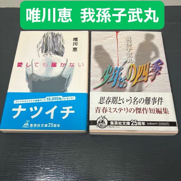 少年たちの四季 ＋ 愛しても届かない 文庫本 2冊セット 我孫子武丸 唯川恵