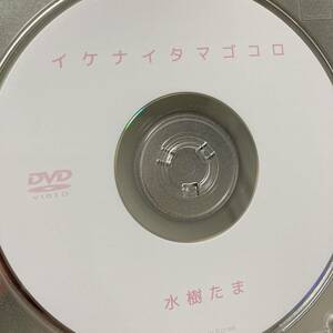 水樹たま「イケナイタマゴコロ」DVD（ディスクのみ中古 フェイス DFAA-021 ぽっちゃり 巨乳 爆乳 紐ビキニ ）