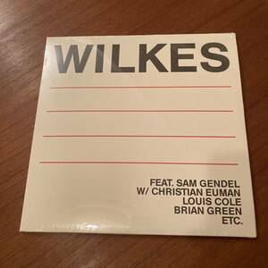 SAM WILKES (LP) レコード sam gendel