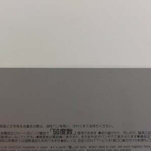 12981 テレホンカード テリー・ボガード アンディ・ボガード ジョー・ヒガシ REAL BOUT リアルバウト 餓狼伝説 ファミ通 一族の陰謀 の画像9