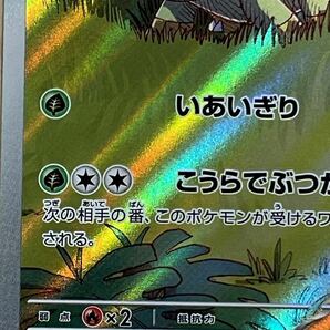 ポケモンカードゲーム ハヤシガメ (AR) ワイルドフォースの画像5
