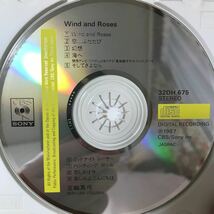 五輪真弓　★ wild and roses_画像4