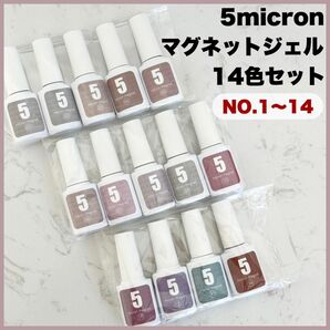 新品未使用 14色セット 5micron magnet マグネットネイル ジェルネイル ネイル工房 ★品薄人気商品