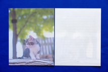 ねこ柄 便箋 横罫線 24枚 株式会社デザインフィル ミドリカンパニー 猫 ネコ Cats １セット【中古美品】_画像7