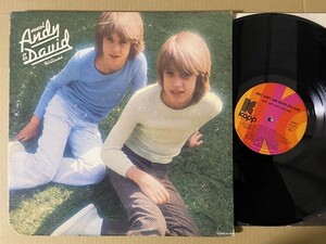 試聴 Carole King , Little Anthony カバー他 ヤングソウル Andy & David Williams Meet LP フリーソウル 子供もの VANDA ソフトロック