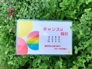 【新品】エネルギーカード【チャンスは毎日】波動カード