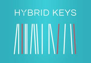  regular goods Native Instruments Hybrid Keys unused regular goods DTMbo Caro .. temi .tiktok