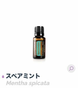 doTERRA ドテラ アロマオイルスペアミント15ml 未開封