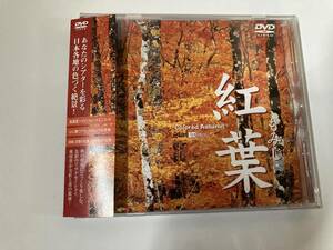 DVD 見本盤「紅葉　もみじ」