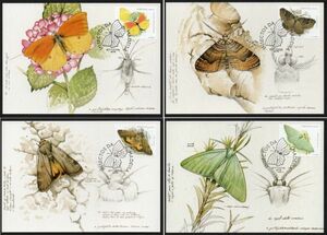 MC J086 ポルトガル領マディラ 昆虫 蝶蛾 4V完貼り(4通組) 1998年発行 マキシマムカード