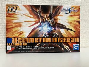 【新品未開封】HG デスティニーガンダム(ハイネ専用機) 機動戦士ガンダムSEED DESTINY 数量限定品