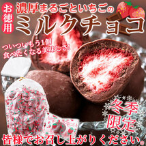 イチゴチョコ 個包装 チョコレート ギフト ミルクチョコ いちご 苺 チョコ 訳あり スイーツ 人気 大量 洋菓子 常温 250g_画像7