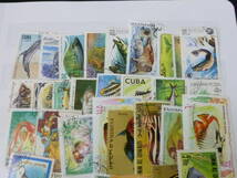 24　P　№3-1　魚・海の生物 切手　世界各国　キューバ・タンザニア・ベリーズ・ピトケアン諸島・他　計160種　3リーフ　注文消主体・VF_画像6