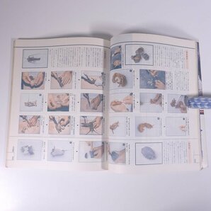 新 イシダイのすべて 新魚シリーズ8 週刊釣りサンデー別冊 1988 大型本 つり 釣り フィッシングの画像9