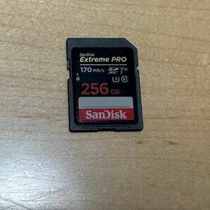 256GB SanDisk Extreme PRO SDXCカード ★SDカード サンディスク エクストリームプロ 170MB/s