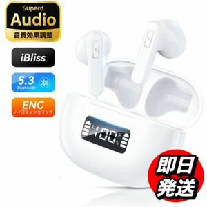 ワイヤレスイヤホン ノイズキャンセリング Bluetooth 通話 防水 マイク 高音質 防水 HIFI高音質 30時間再生