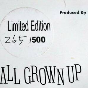 檄レア The Hillbilly Moon Explosion/All Grown Up/ヒルビリームーンエクスプロージョン Limited 500枚限定 ネオロカビリーの画像4