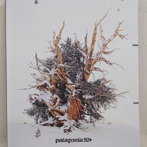 送料無料 Patagonia 50 2023 Fall 未開封品 パタゴニア 火星ではない