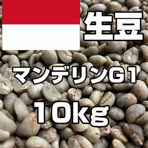 【コーヒー生豆】マンデリンG1　10kg　 ※送料無料！