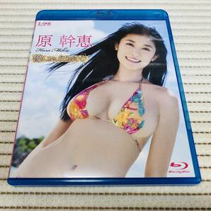 【送料無料 匿名配送】Blu-ray 原幹恵 / アイドルワン 優しさに包まれての画像1