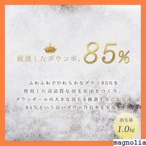 ★送料無料★ シングル SNOWMAN 抗菌防臭 羽毛ぶとん 羽毛掛 わない 羽毛布団 ダウン85％ 羽毛ふとん 羽根布団 36_画像3