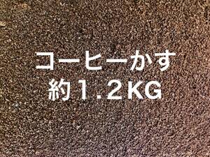  кофе .. примерно 1.2KG кофе rental примерно 1.2 kilo Coffee........1KG 1 kilo 