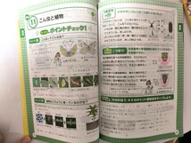 ☆チャレンジ 6年生☆進研ゼミ 六年生☆歴史人物データ事典 漢字＋ことば辞典 ポイント総まとめ事典☆結晶実験キット ☆_画像5