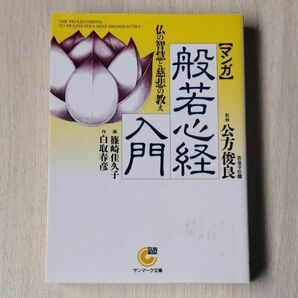 〈マンガ〉般若心経入門　仏の智慧と慈悲の教え （サンマーク文庫） 白取春彦／原作　篠崎佳久子／画