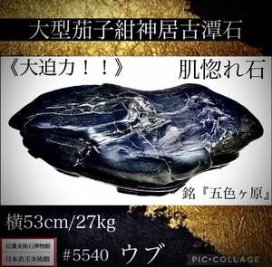 [ confidence . fine art stone museum ] suiseki st bonsai { large power!!} large .. navy blue god . old . stone ub width 53× depth 26(cm) 27kg antique tray stone old fine art appreciation stone China old .5540