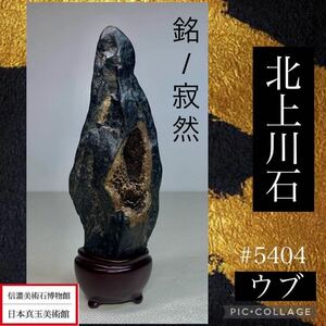 【信濃美術石博物館】 水石 盆栽 北上川石 ウブ 漆塗り台座 横6×高17×奥行3.5(cm) 300g骨董盆石古美術鑑賞石観賞石太湖石中国古玩 5404