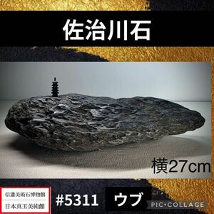 【水石復興イベント】 水石 盆栽 佐治川石 ウブ 横27×高6×奥行16(cm) 3.8kg骨董盆石古美術鑑賞石観賞石太湖石中国古玩 5311