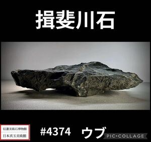 【水石復興イベント】水石盆栽 揖斐川石 ウブ 横31×高9×奥行19.5(cm) 4.88kg 骨董盆石鑑賞石観賞石太湖石 4347