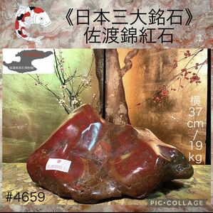 【信濃美術石博物館】水石 盆栽 佐渡錦紅石 横37×高22×奥行28(cm) 重量:19.8kg佐渡赤玉石 赤石 骨董盆石鑑賞石観賞石太湖石 4659