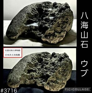 【水石復興イベント】 水石 盆栽 八海山石 溜まり ウブ 横23×高12×奥行28.5(cm)9.9kg 骨董盆石古美術鑑賞石観賞石太湖石中国古玩 3716