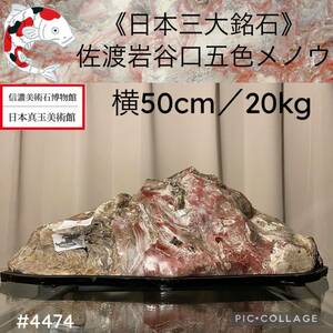 【信濃美術石博物館】水石 盆栽 佐渡岩谷口五色メノウ 横50×高18×奥行22(cm) 20kg 佐渡赤玉石 錦紅石 赤石 骨董盆石鑑賞石観賞石 4474