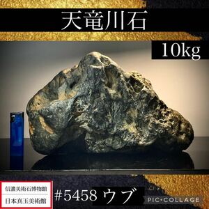 【信濃美術石博物館】 水石 盆栽 天竜川石 ウブ 横31×高18×奥行14(cm) 10.44kg骨董盆石古美術鑑賞石観賞石太湖石中国古玩 5458