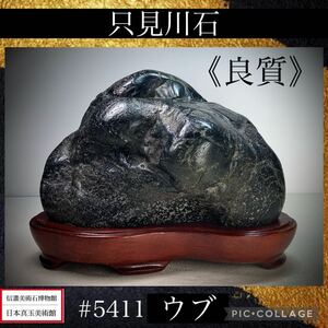 ※売切※【信濃美術石博物館】 水石 盆栽 《良質》只見川石 ウブ 横21×高15(cm) 4.34kg骨董盆石古美術鑑賞石観賞石太湖石中国古玩 5411