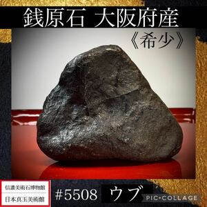 《超レア》《希少》【信濃美術石博物館】 水石 盆栽 銭原石 大阪府産 ウブ 横11×高8.5(cm) 560g骨董盆石古美術鑑賞石太湖石中国古玩 5508