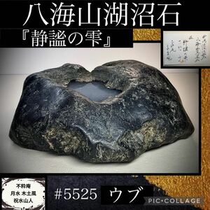 【信濃美術石博物館】 水石 盆栽 八海山湖沼石 溜まり石 ウブ 横30×高11×奥行24(cm) 10.66kg骨董盆石古美術鑑賞石太湖石中国古玩 5525