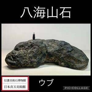 【水石復興イベント】 水石 盆栽 八海山石 ウブ 横27×高8×奥行12(cm) 重量:4.12kg骨董盆石古美術鑑賞石観賞石太湖石中国古玩 4487