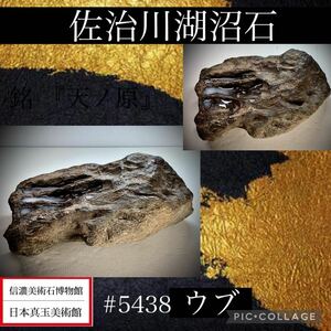 【信濃美術石博物館】 水石 盆栽 佐治川湖沼石 ウブ 横25.5×高10.5(cm) 5.28kg骨董盆石古美術鑑賞石観賞石太湖石中国古玩 5438