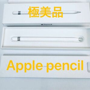 iPad Apple Pencil 第1世代