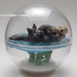 ラッコ/カプリウムコレクション 海洋生物２【Qualia】ガチャ フィギュア