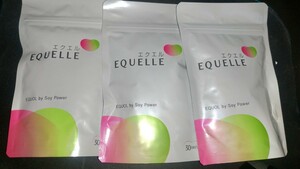 3袋×120粒 大塚製薬 エクエル パウチタイプ エクオール EQUELLE