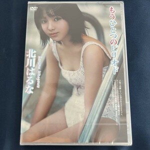 ★特価品☆ 【DVD】 北川はるな もうひとつのピリオド / すとろべりーぱうだー 正規品 新品 アイドル イメージ