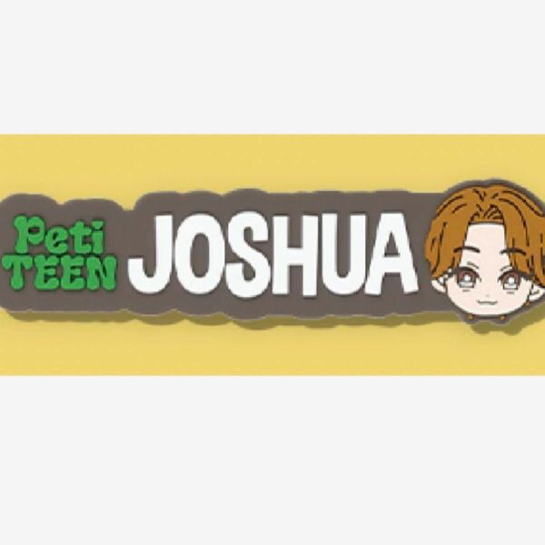 SEVENTEEN petiteen ジョシュア ラバーマスコット 一番くじ Joshua セブチ