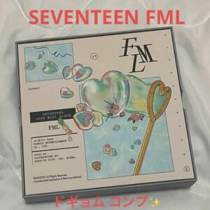 【美品】 SEVENTEEN FML Carat盤 ドギョム DK コンプ 韓流 セブチ セブンティーン 人気 レア