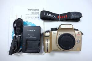 【美品】Panasonic LUMIX GH1